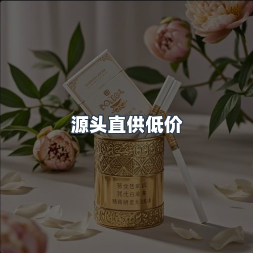 服务优势